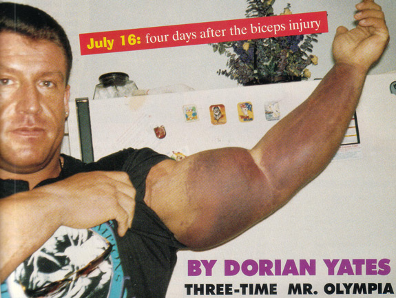 Dorian yates bicep workout online